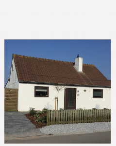 Where Dogs Come Home